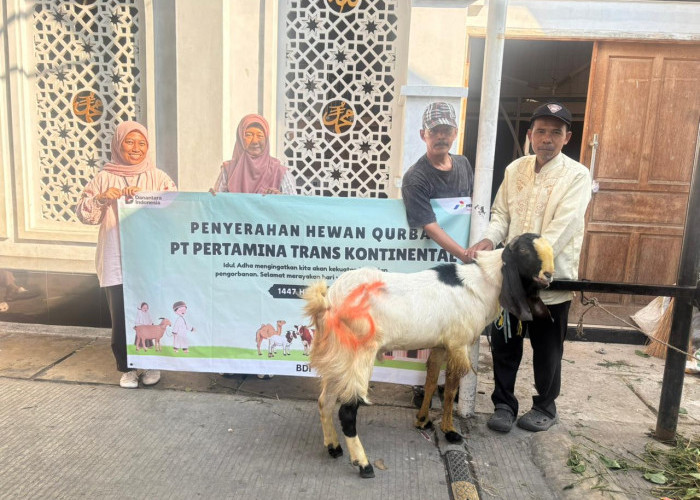Iduladha 2026, Pertamina Trans Kontinental Tetap Jaga Operasional dan Berbagi Berkah Kurban Bersama Masyarakat