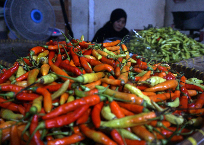 Sepekan, Rawit Merah Tembus Rp 70 Ribu 