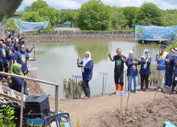 Tanam 100 Ribu Mangrove di DAS Donan, Komitmen Nyata Kilang Cilacap Jaga Keseimbangan Alam