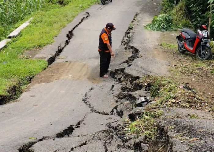 Jalan Utama Banjarnegara-Kayuares Ditutup Akibat Tanah Gerak