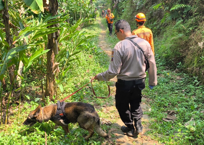 Lansia Hilang di Karangmoncol Belum Ditemukan, Polisi Terjunkan Anjing Pelacak Bantu Pencarian