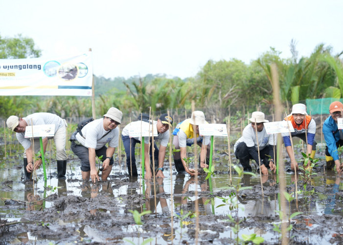 Hari Lingkungan Hidup 2024, Kilang Cilacap dan Perum Jasa Tirta Tanam 100 Ribu Mangrove