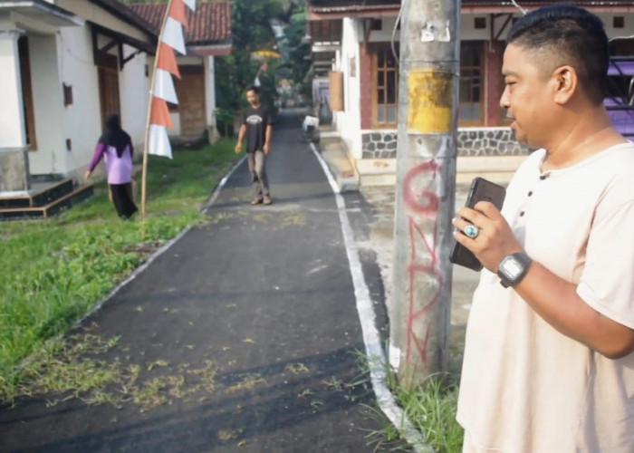 Viral Jalan Aspal Tumbuh Rumput, Pemdes Kedungjati Beri Penjelasan