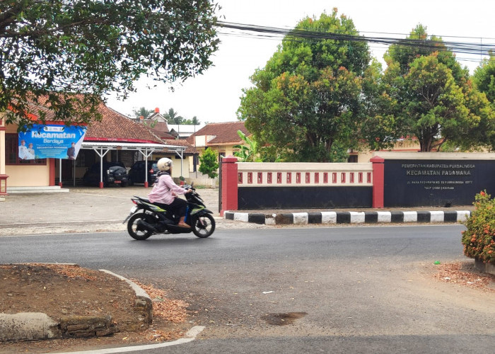 Daya Dukung Lingkungan Purbalingga Tertekan, Padamara Defisit Air dan Enam Kecamatan Terancam Defisit Pangan