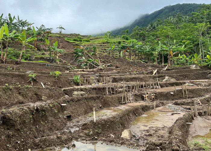 Tanah Bergerak Matikan Aktivitas Pertanian Warga Sempor