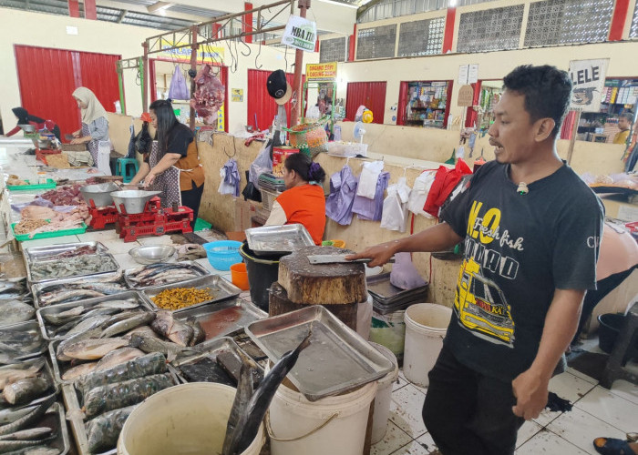 Harga Ikan dan Seafood di Pasar Badhog Bancar Purbalingga Melonjak, Pedagang Keluhkan Penjualan Turun