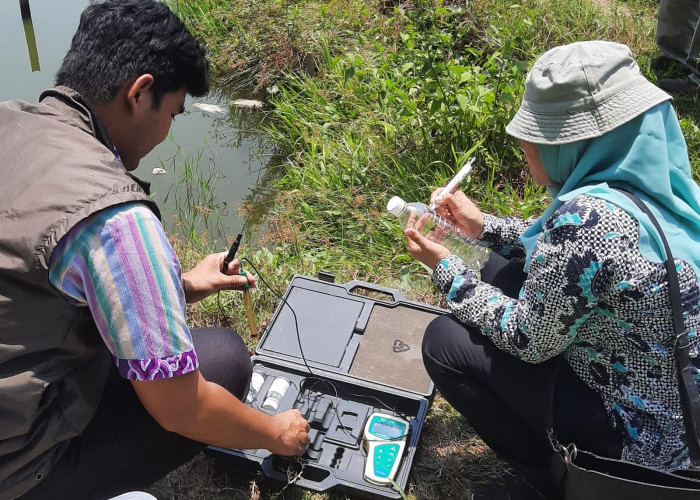 Gurame di Purbalingga Mati hingga 40 Persen, Sampel Air dan Ikan Diuji ke Laboratorium