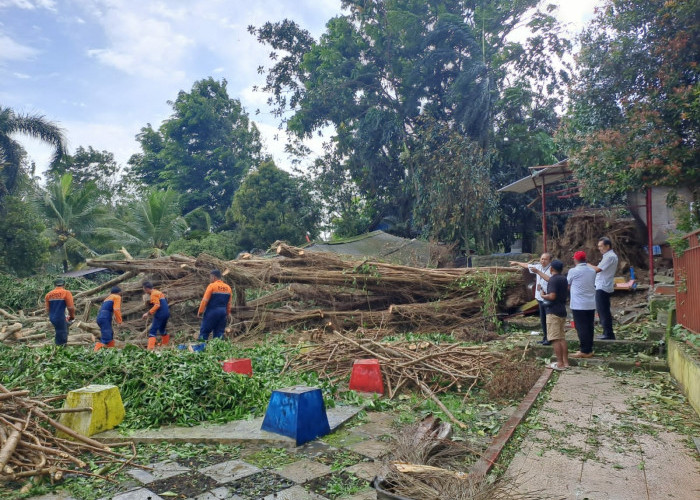 Wilayah Utara Purbalingga Masih 'Dikepung' Bencana Angin Kencang