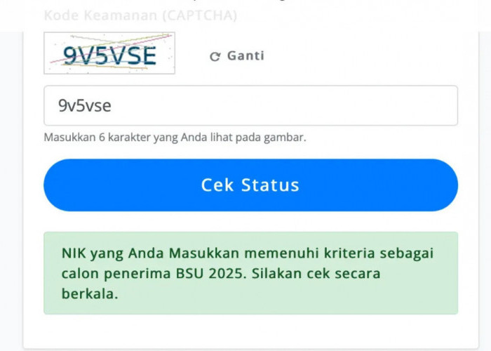Intip 3 Opsi Cara Cek BSU Kemnaker 2025 Lewat Handphone, Bisa Pakai Website dan Aplikasi Tambahan