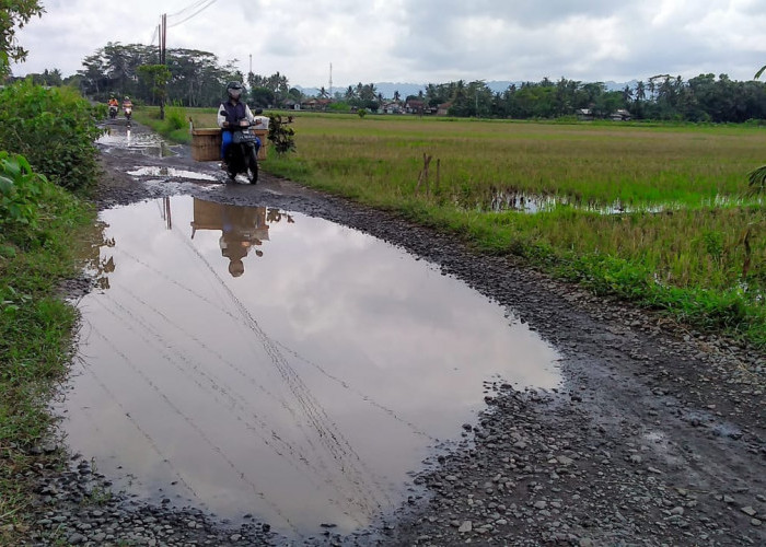 Bertahun-Tahun, Muncul Kubangan Air di Jalan Jalur Lingkar Selatan Sumpiuh-Tambak Tiap Turun Hujan 