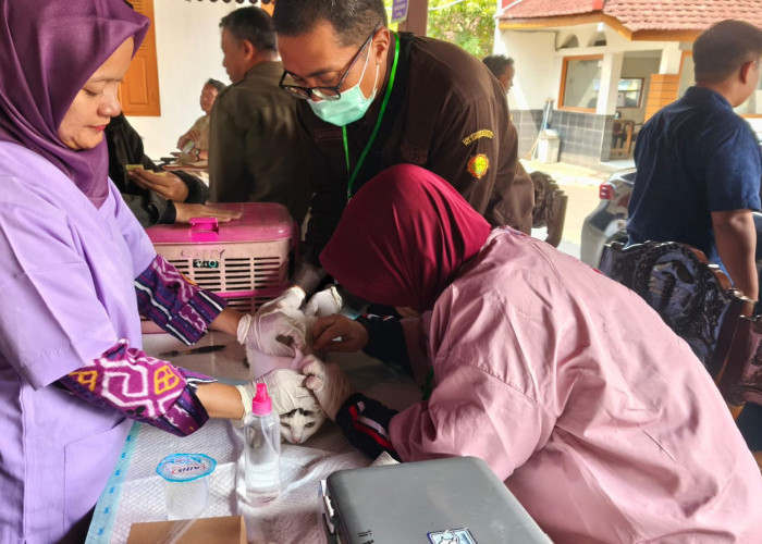 Perbatasan Banyumas Jadi Fokus Cegah Rabies, Vaksinasi Hewan Disiapkan Di Wilayah Rawan