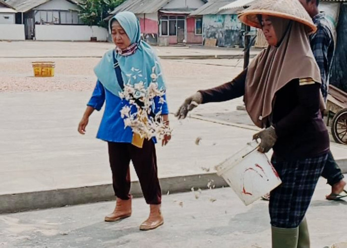 Nelayan Cilacap Masih Panen Teri Krosok dan Udang Rebon