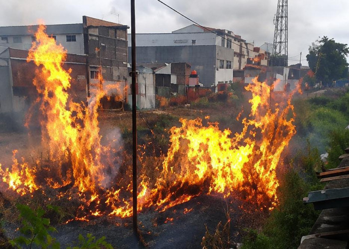 Kebakaran Lahan Dekat Rel Ganggu Perjalanan Kereta di Cilacap