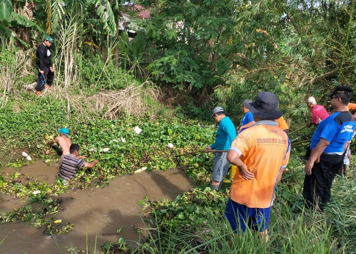 Tanaman Eceng Gondok Menumpuk, Warga Bersih-Bersih Sungai Kedung Pasung, Cilacap