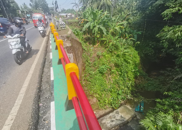 Truk Bermuatan Pohon Jagung Terjun ke Sungai di Banjarnegara