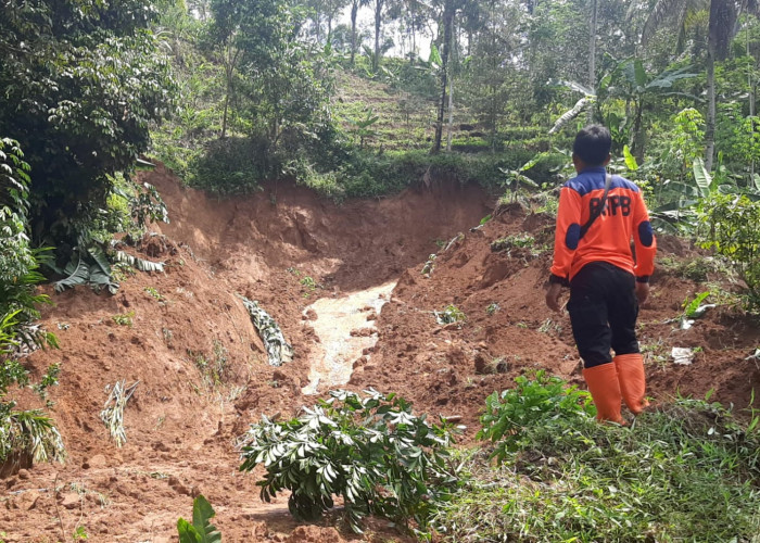 Longsor di Desa Bantarbarang Purbalingga, Akses Transportasi Dua Dusun Terputus