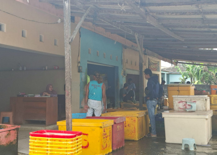 Penjualan Ikan Layur Meningkat, Harga Tenggiri Melonjak Tajam di Pasar Ikan PPC Cilacap
