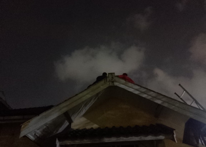 Resahkan Warga, Sarang Tawon Vespa di Permata Hijau Dievakuasi Damkar Banyumas