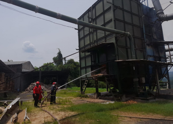 Mesin Pengolah Kayu Milik PT Cimalati Indonesia di Cilacap Terbakar, Diduga Akibat Percikan Api