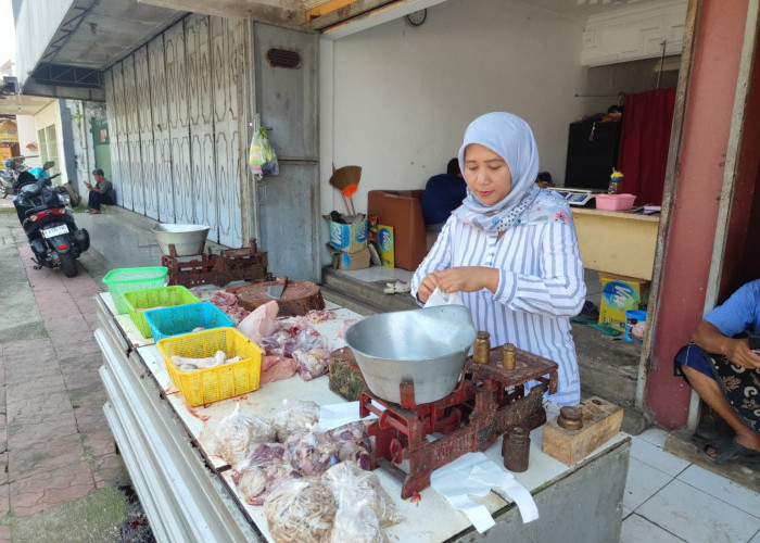 Harga Daging Ayam di Purbalingga Anjlok Drastis, Stok Melimpah dan Tahun Ajaran Baru Jadi Penyebab
