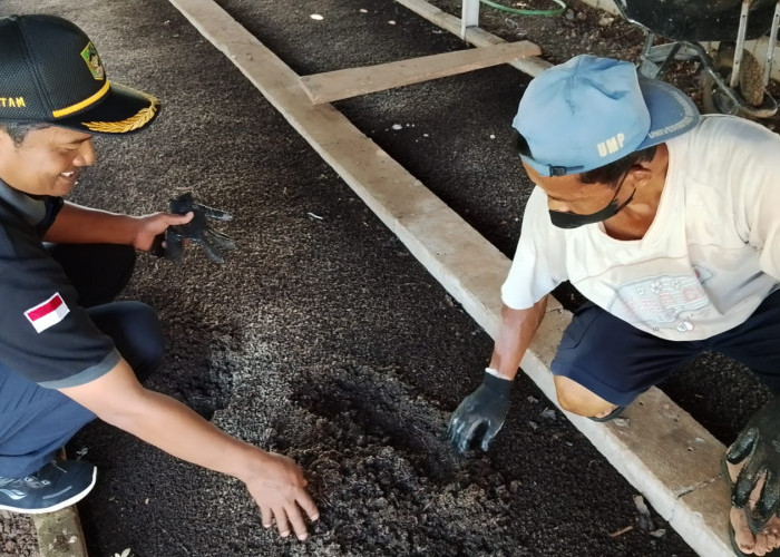 Cacing, dari Menjijikan hingga jadi Usaha Menjanjikan,  Pengurai Polemik Sampah dan Ekonomi di Banyumas