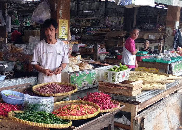 Harga Komoditas Cabai di Purbalingga Kembali Turun