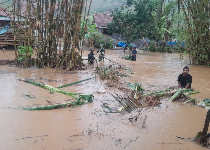 Hujan Lebat Picu 26 Bencana di Banyumas, Longsor Mendominasi, Sejumlah Sekolah Terdampak