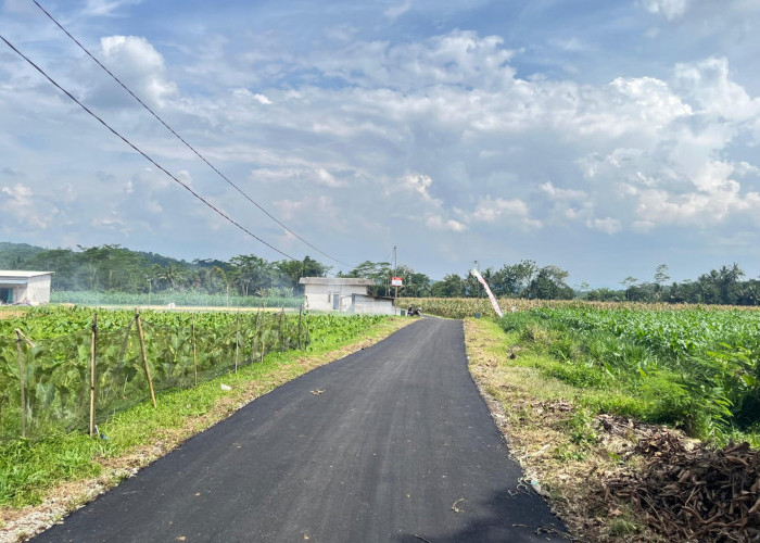 Warga Karangturi Klarifikasi Video Aspal Lembek yang Ramai di Media Sosial