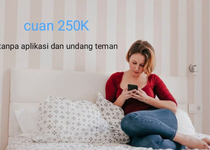 Cepat dan Gampang Raih 250K Saldo DANA di Snacklink.id