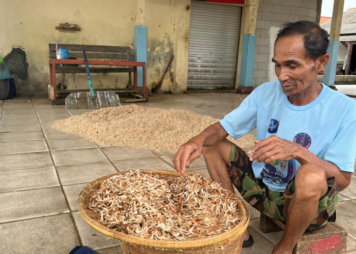 Hasil Tangkapan Nelayan Cilacap Merosot Akibat Gelombang Tinggi 