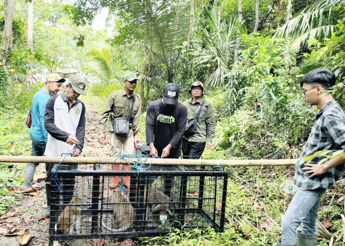 Empat Satwa Liar Dilepasliarkan di Cagar Alam Nusakambangan Timur Cilacap