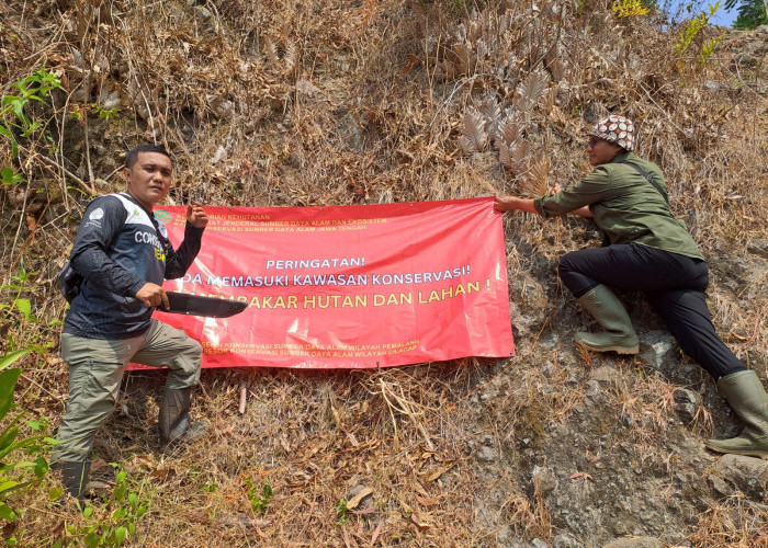 Gunung Selok Rawan Kebakaran, RKSDA Cilacap Perketat Pengawasan Habitat Satwa Liar