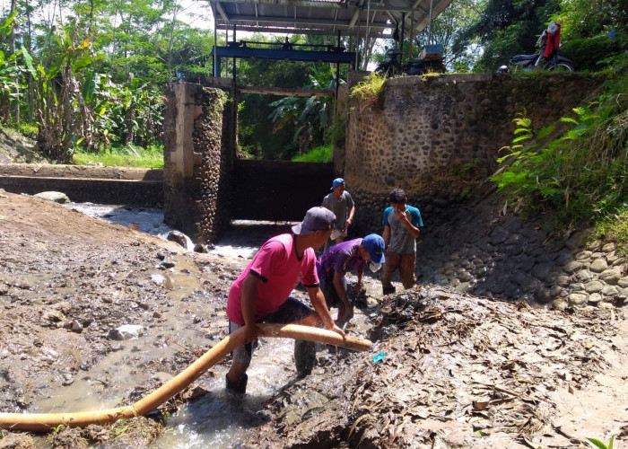 Mumpung Debit Air Cukup, Bendung Sengon Dikuras