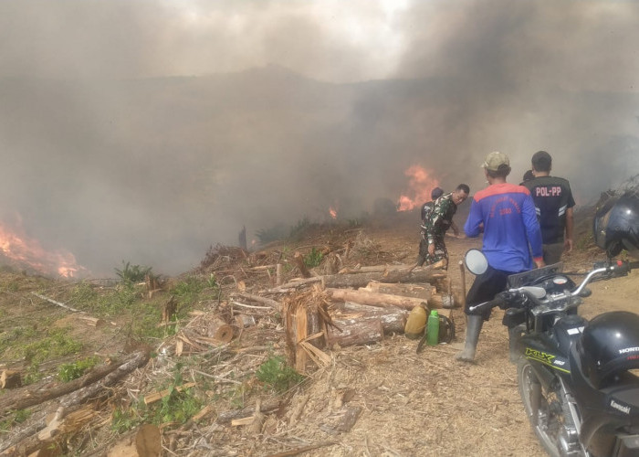 Lahan Seluas 20 Hektare di Gunung Telu Cilacap Terbakar, Diduga Berawal dari Pembakaran Sampah