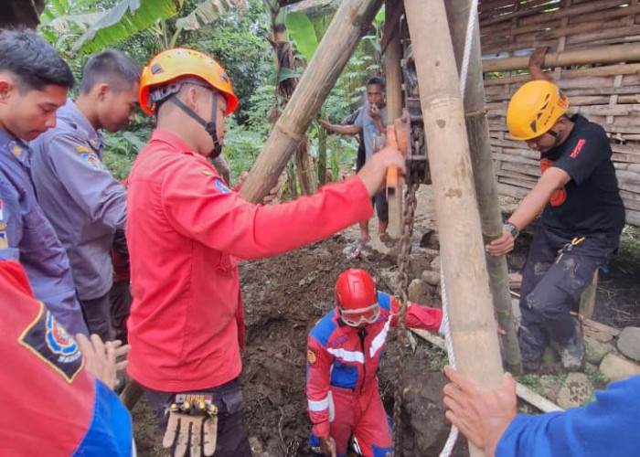Sapi Terjebak Septic Tank Berhasil Dievakuasi, Damkar Banyumas Selamatkan Ternak Warga Cilongok