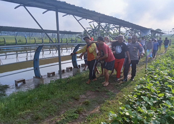 Perbaiki Stop Kontak, Warga Kemangkon Meninggal Dunia Tersengat Aliran Listrik