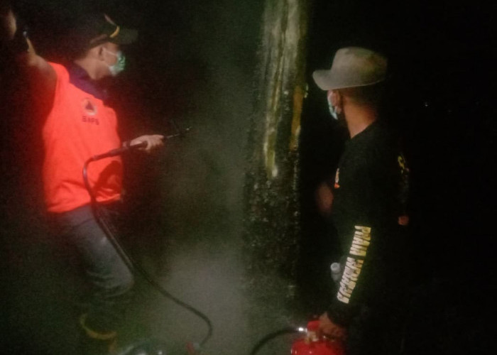 Hutan Pinus di Cimanggu Cilacap Terbakar, Penyebab Diduga Lupa Matikan Api