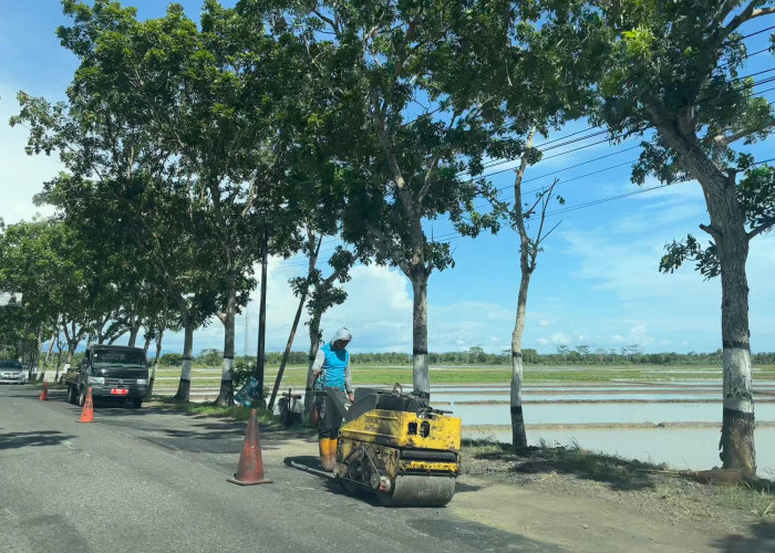 Proyek Infrastruktur di Cilacap Tertunda Dampak Efisiensi Anggaran 2025