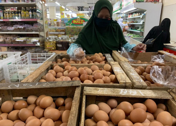 Jelang Ramadan, Harga Telur Ayam Ras Naik 