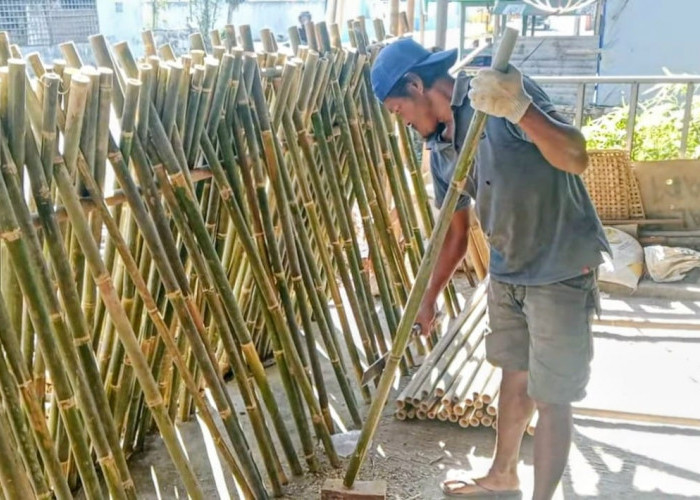 Pesanan Bambu HUT RI Melonjak di Banyumas, Kios Ajibarang Kewalahan Penuhi Permintaan