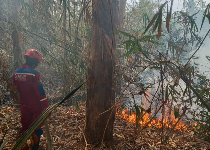 Empat Kebakaran Lahan di Banyumas dalam Sehari, Dugaan Dari Puntung Rokok dan Pembakaran Sampah