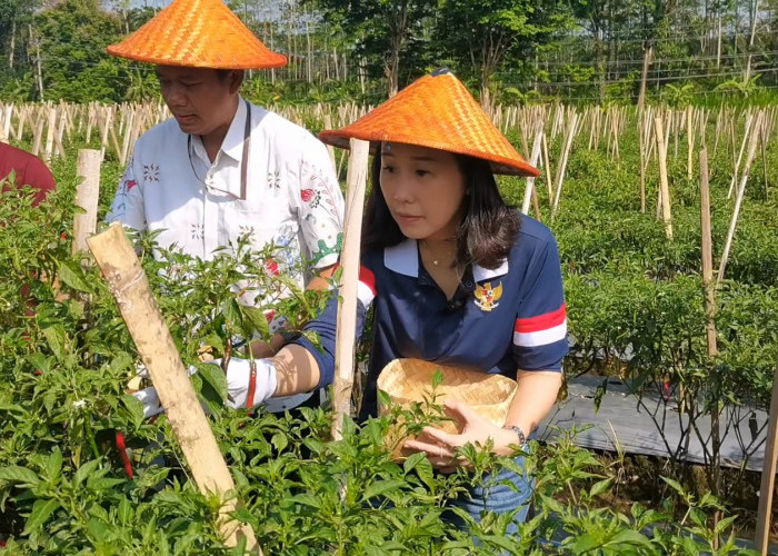Serayu Network Banjarnegara Jadi Contoh Nasional Pemanfaatan Lahan dan Pemberdayaan Perempuan