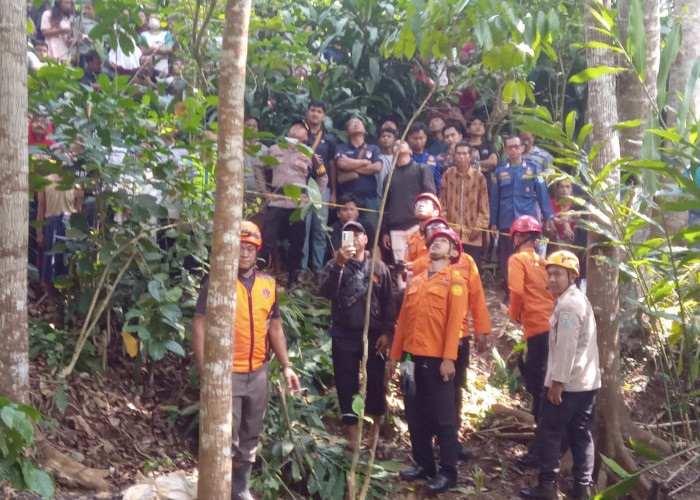 Petik Kelapa, Pria 65 Tahun di Purbalingga Meninggal di Atas Pohon