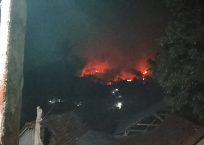 Empat Desa di Lumbir Banyumas Dilanda Kebakaran Lahan, Medan Perbukitan Hambat Pemadaman