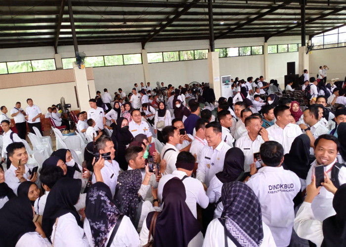 Gaji PPPK Paruh Waktu Baru Dianggarkan Tahun 2026