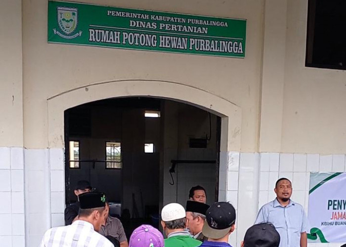 Antisipasi Penyebaran Penyakit dan Pencemaran, Limbah Penyembelihan Hewan Kurban Dilarang Dibuang Sembarangan