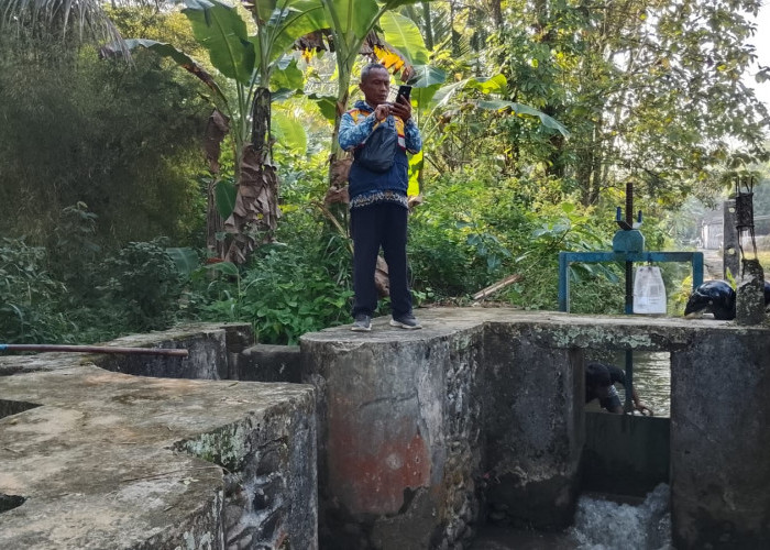 Debit Air Turun, Ratusan Hektare Sawah Mulai Digilir, Kemarau Pengaruhi Irigasi Banyumas Timur