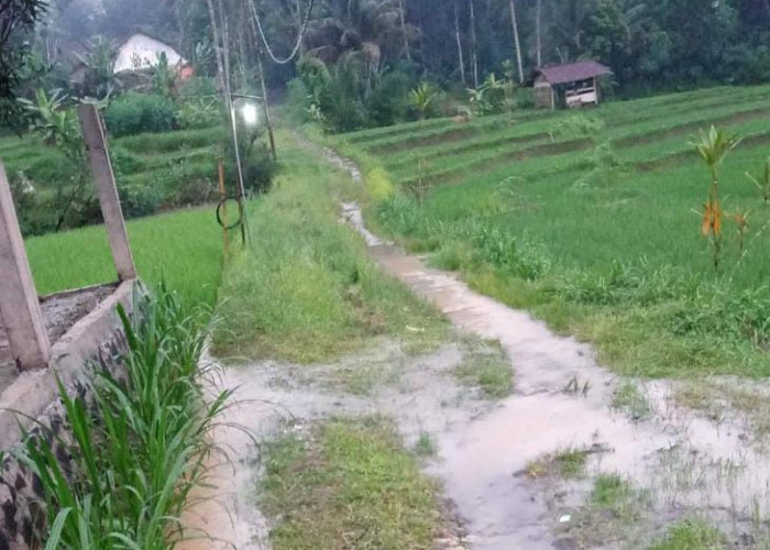 Kondisi Jalan Tak Layak di Desa Cilangkap Gumelar di Unggah Ke Medsos, Ramai Jadi Perbincangan Netizen