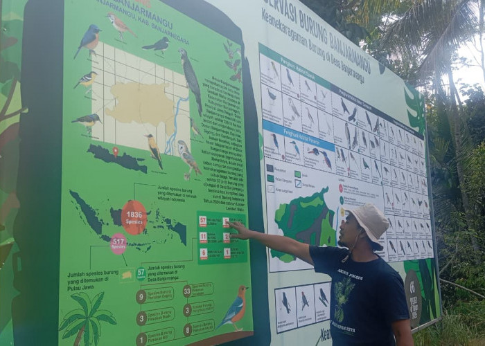Dari 33 Jadi 66 Spesies, Konservasi di Banjarmangu Mulai Pulihkan Habitat Burung
