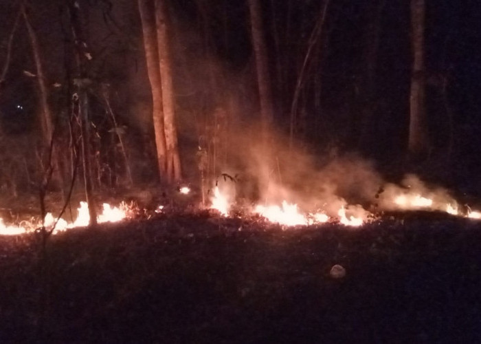 Puntung Rokok Picu Kebakaran Lahan di Pejagoan